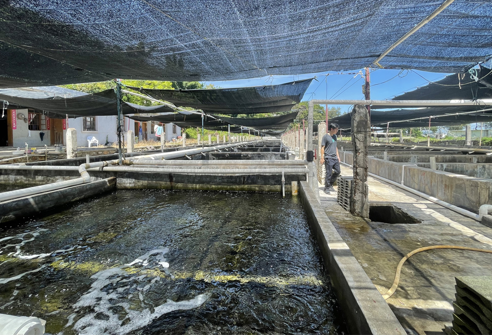 产业布局 - 汕头南澳耕泰洋水产有限公司,海水鱼类,水产养殖,对虾养殖,育苗培育,水产品加工,商贸流通,深水网箱,底播养殖,育苗基地,工厂化 ...